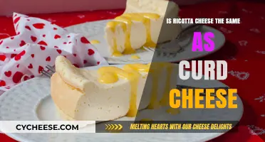 Ricotta vs. Curd Cheese: Understanding the Key Differences and Uses