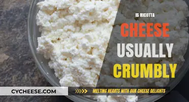 Is Ricotta Cheese Usually Crumbly? Texture Explained and Tips