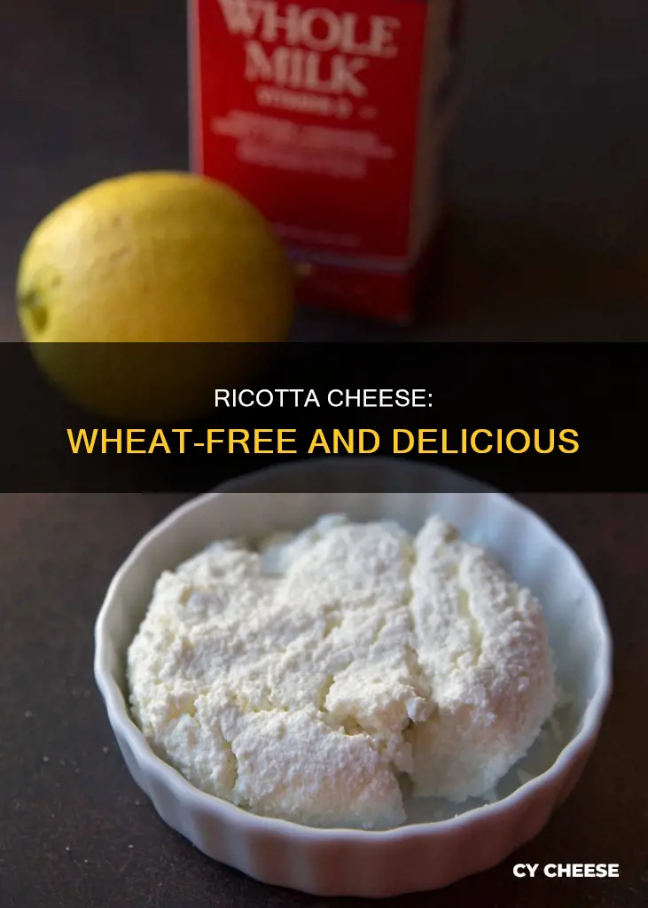 is ricotta cheese wheat free