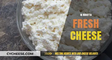 Is Ricotta Fresh Cheese? Exploring Its Texture, Taste, and Uses