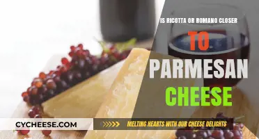 Ricotta vs Romano: Which is Closer to Parmesan?