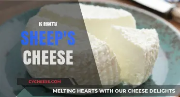 Is Ricotta Sheep's Cheese? Unraveling the Dairy Mystery