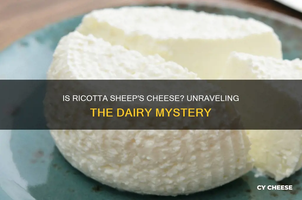 is ricotta sheep