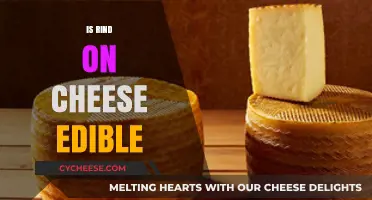 Can You Eat Cheese Rind? Unwrapping the Edible Truth