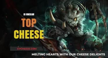 Is Rnegar Top Cheese? Unveiling the Truth Behind the Hype