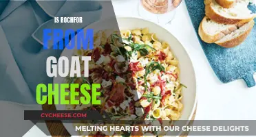 Rochfort: Is It Really Goat Cheese?