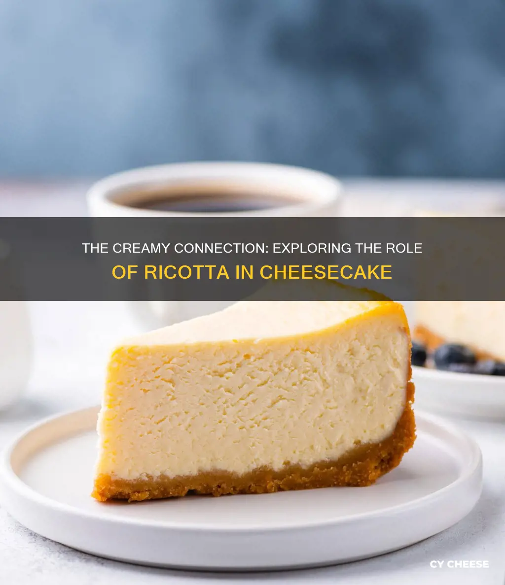 is rocotta cheese how cheese cake is made