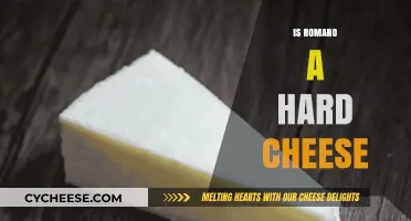 Is Romano Cheese Hard? Exploring Its Texture and Culinary Uses