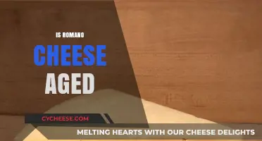 Is Romano Cheese Aged? Unveiling the Aging Process and Flavor Secrets
