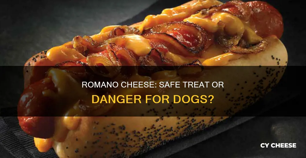 is romano cheese bad for dogs