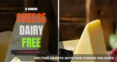 Romano Cheese: A Dairy-Free Option?