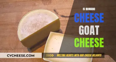 Is Romano Cheese a Goat Cheese?