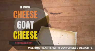 Romano Cheese vs Goat Cheese: What's the Difference?