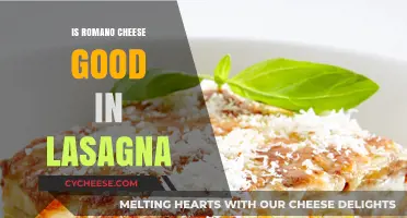 Is Romano Cheese the Perfect Lasagna Ingredient? A Tasty Debate