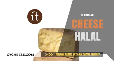 Is Romano Cheese Halal? Exploring Ingredients and Certification