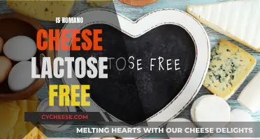 Romano Cheese: Lactose-Free Superfood?