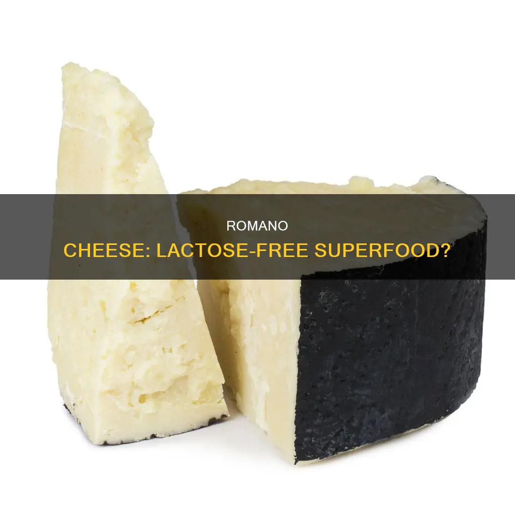 is romano cheese lactose free