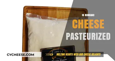 Is Romano Cheese Pasteurized? Understanding Its Production and Safety