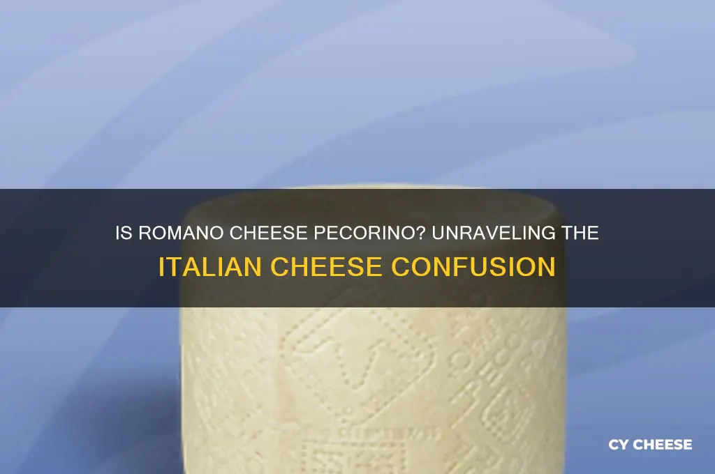 is romano cheese pecorino