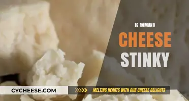 Is Romano Cheese Stinky? Uncovering the Truth About Its Aroma