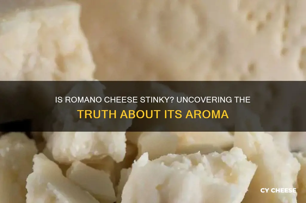 is romano cheese stinky