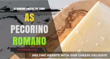Romano vs. Pecorino Romano: Unraveling the Cheese Confusion