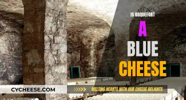 The Blue Cheese of Roquefort: A Distinctive Delicacy
