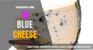 The Flavorful Truth: Roquefort and Blue Cheese