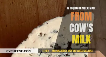 The Real Story Behind Roquefort Cheese's Milk Origins