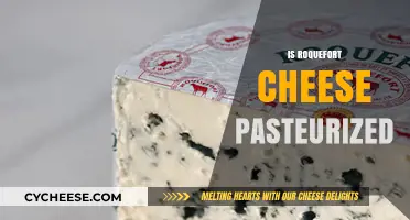 Is Roquefort Cheese Pasteurized? Unraveling the Truth About This Classic Cheese
