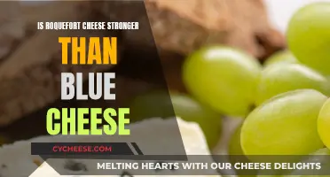 Blue Cheese vs Roquefort: Which Has a Stronger Flavor?