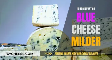 Which Is Tangier: Roquefort or Blue Cheese?