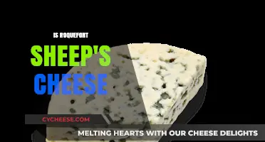 Is Roquefort Sheep's Cheese? Unraveling the Origins of This Iconic Blue Cheese