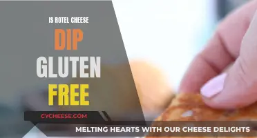 Gluten-Free Rotel Cheese Dip: Safe to Eat?