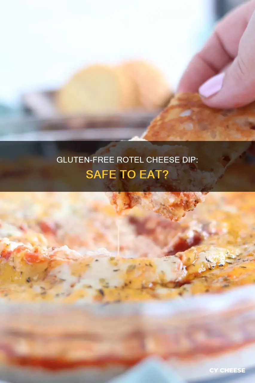 is rotel cheese dip gluten free