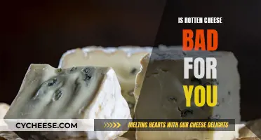 Rotten Cheese: Healthy or Harmful?