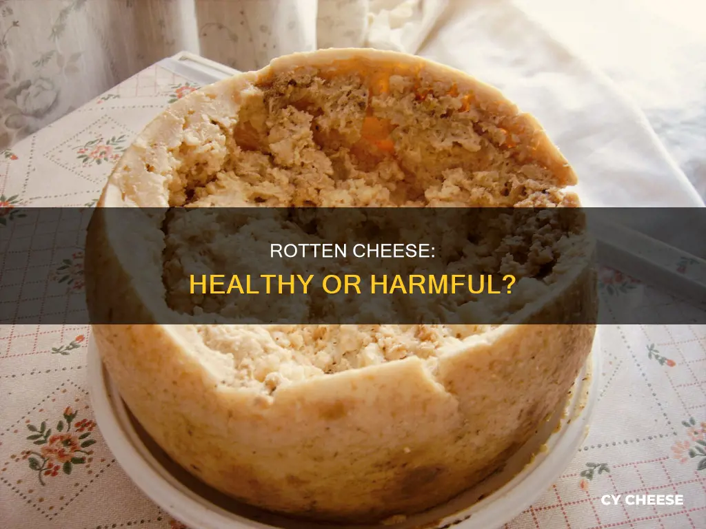 is rotten cheese bad for you