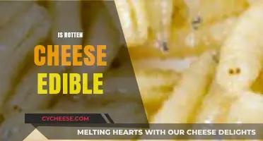 Is Rotten Cheese Safe to Eat? Uncovering the Truth and Risks
