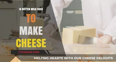 Rotten Milk for Cheese: A Creative Process