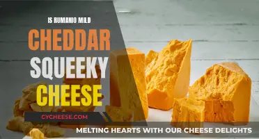 Rumano Mild Cheddar: Is It a Squeaky Delight?