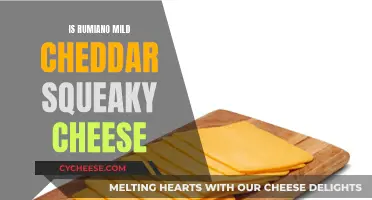 Squeaky Rumiano Mild Cheddar Cheese: What's the Deal?