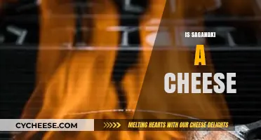 Is Saganaki a Cheese? Unraveling the Flaming Greek Dish's Mystery