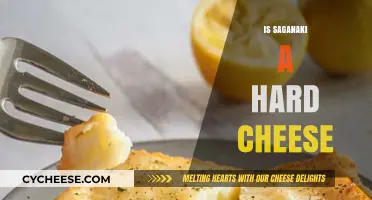 Is Saganaki a Hard Cheese? Exploring Its Texture and Uses