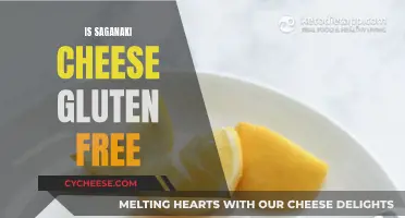 Gluten-Free Saganaki: A Tasty Treat for Celiacs