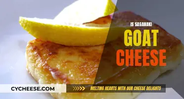 Saganaki: The Golden Greek Cheese Delight