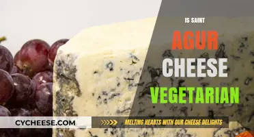 Is Saint Agur Cheese Vegetarian? Uncovering the Truth for Veggie Lovers