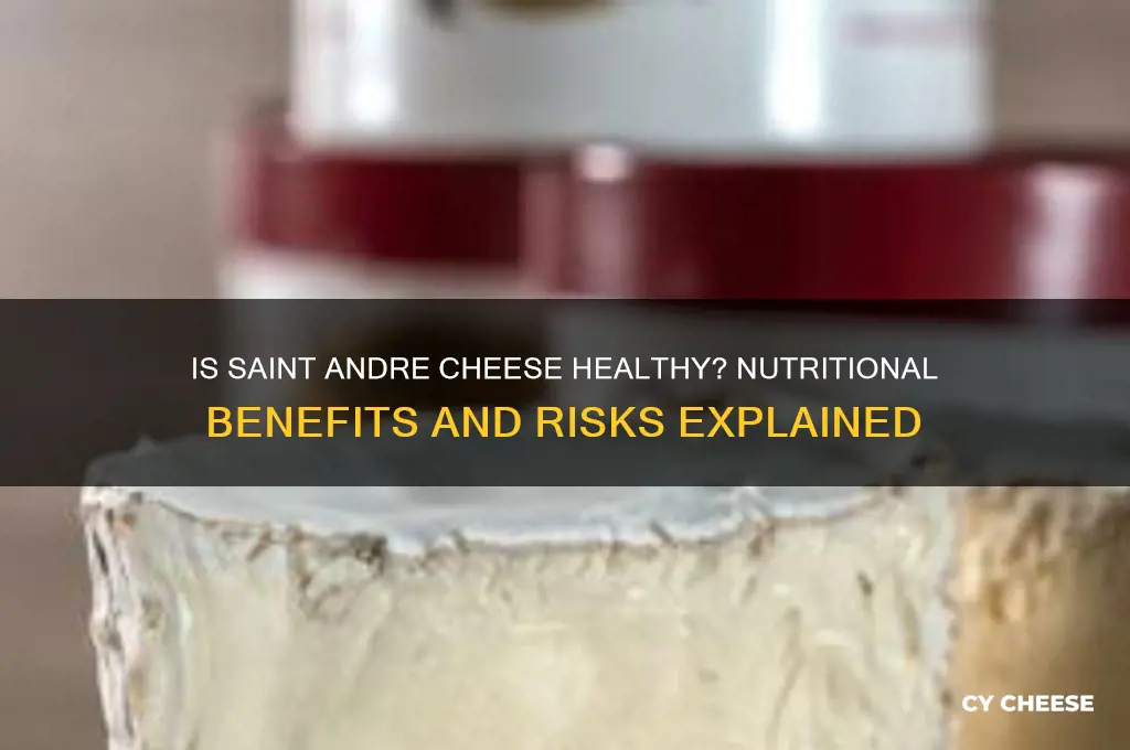 is saint andre cheese good for you you