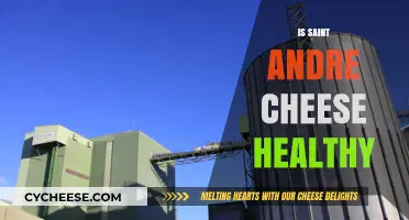 Saint Andre Cheese: Healthy or Not?