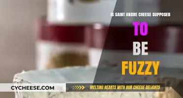 Is Saint Andre Cheese Supposed to Be Fuzzy? A Cheesy Truth
