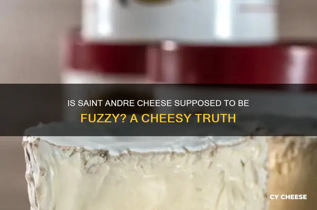 is saint andre cheese supposed to be fuzzy